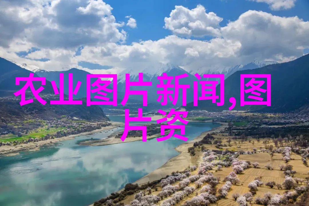 茶艺大师中国古代茶文化的精髓