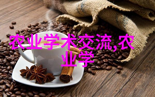 姜的亩产80万元我亲眼见证了这场农业奇迹