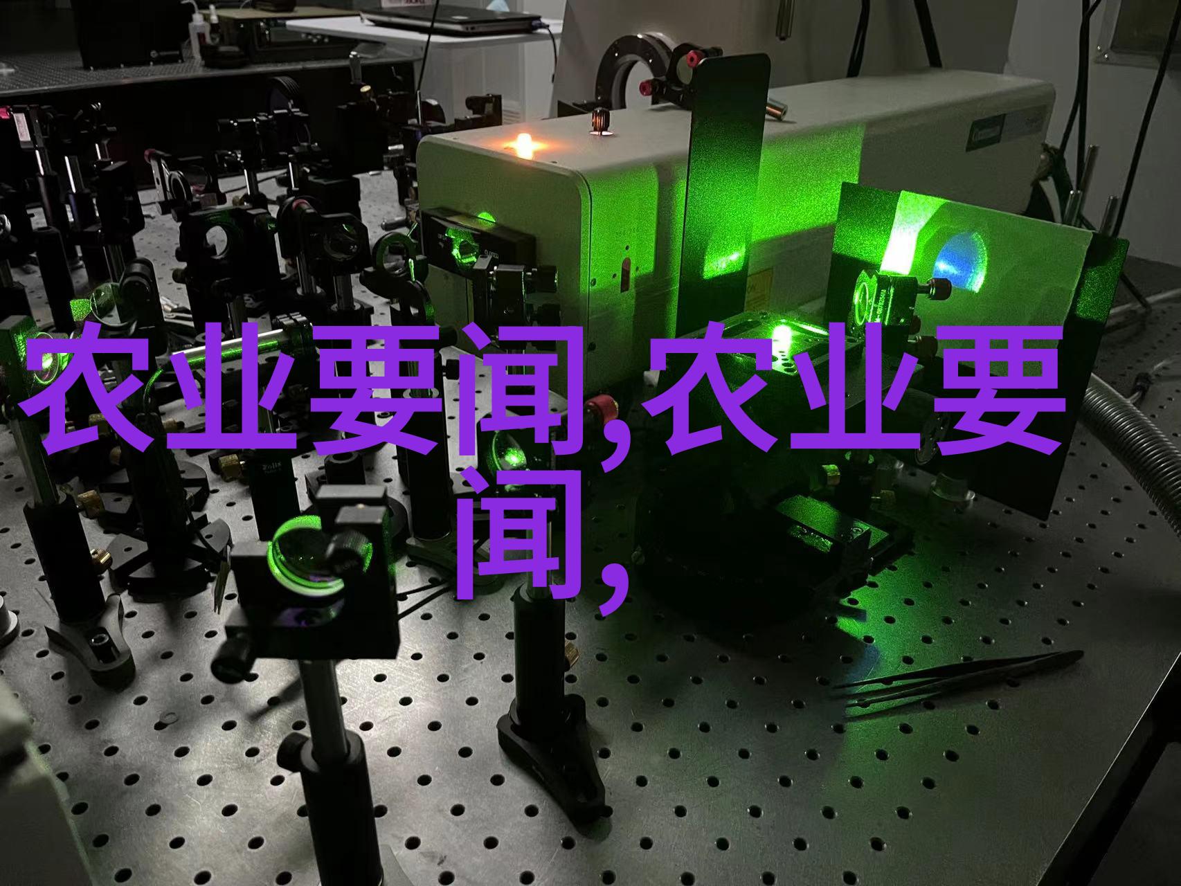 蔬菜种植冬季-逆寒生长冬季蔬菜种植的艺术与技巧