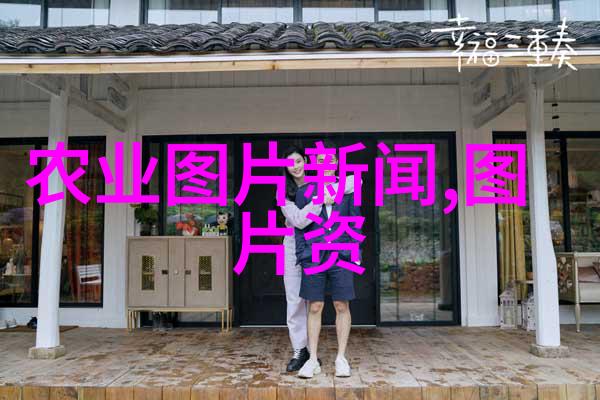 园艺小品蜡树的魅力与价格探秘