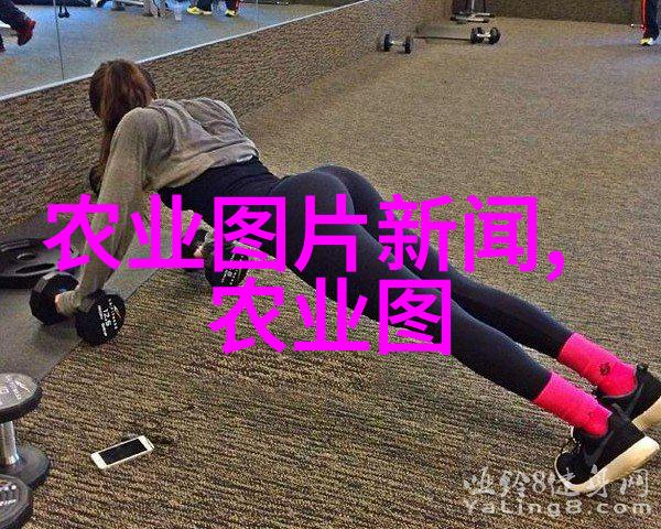 榨油机我的小伙伴在农场里的故事