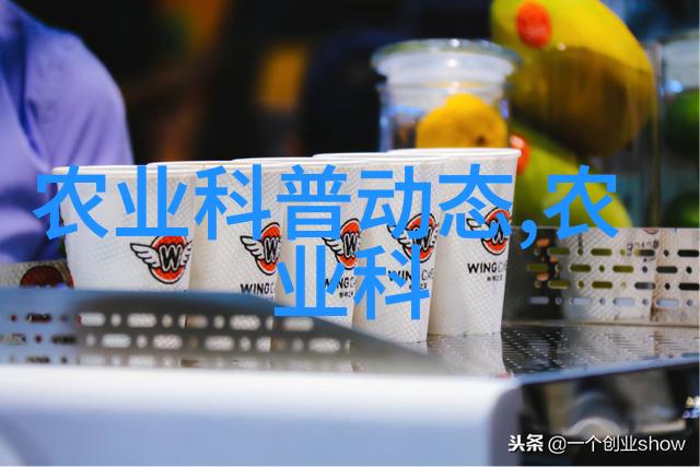 绿意盎然蔬菜种植的最佳时机