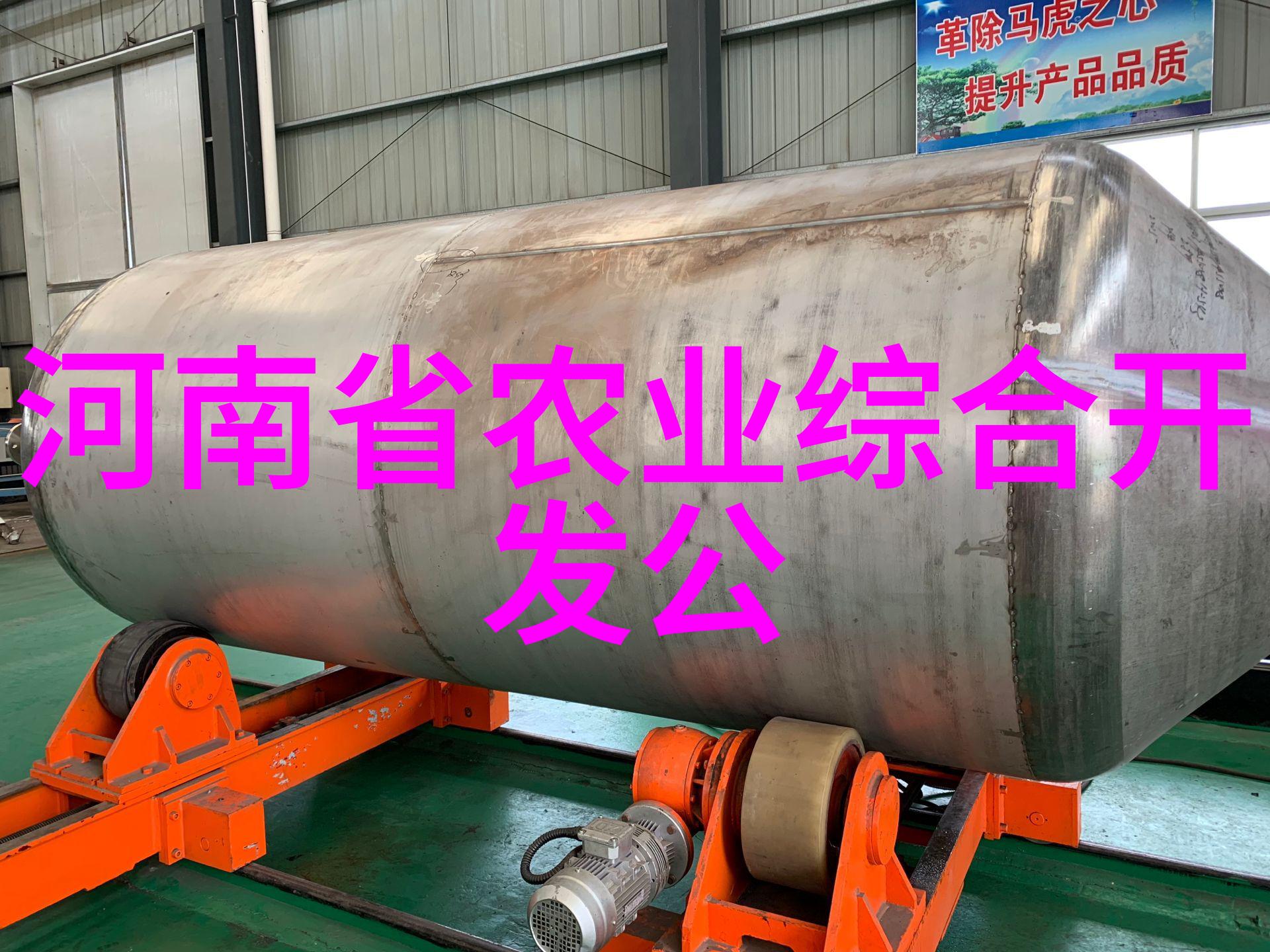 家居美学-客厅最旺财的植物提升空间价值与生活品质