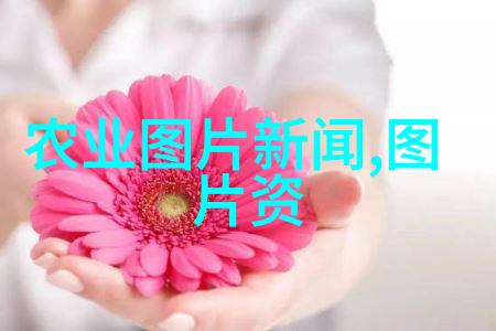 茶香里的秘密解析茶叶中的化学组分与健康益处