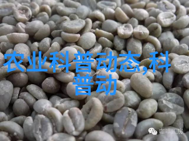 湖南农业大学综合信息服务探索乡贤文化孕育归雁经济四川自贡莲花镇的智慧挖掘