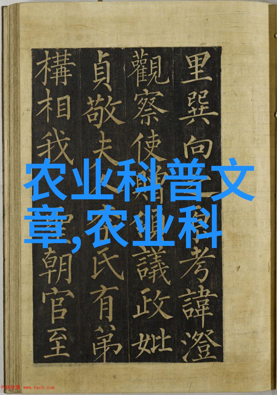 草莓初生种植前景好笑