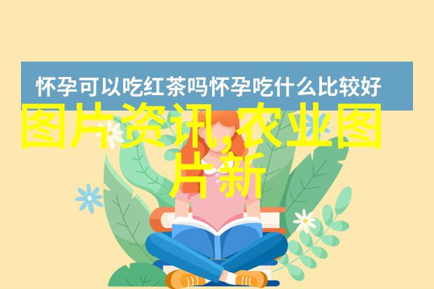 多年生草本花卉精选色彩斑斓的园艺宝藏