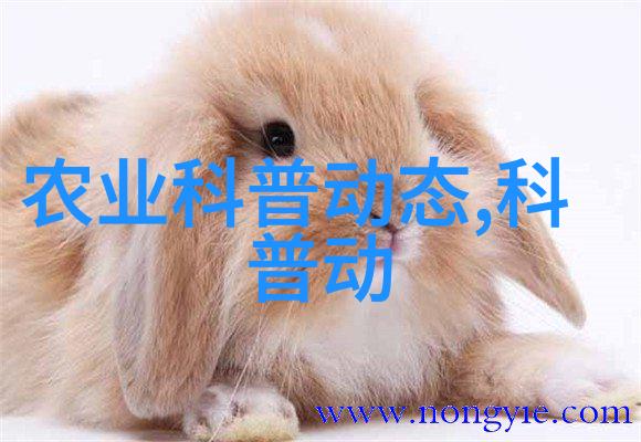 古方新用现代人如何利用历史悠久的100种中药来改善日常生活