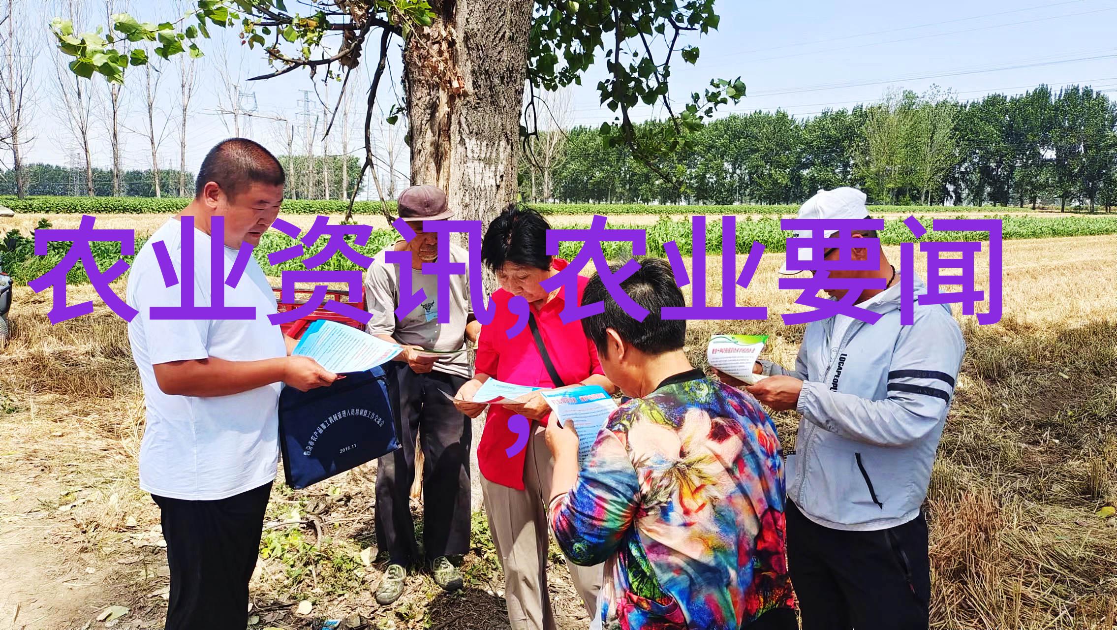 鄢陵花木网春色满园的秘密花园