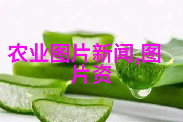 中国养殖网公司的芒果花在什么时候开放