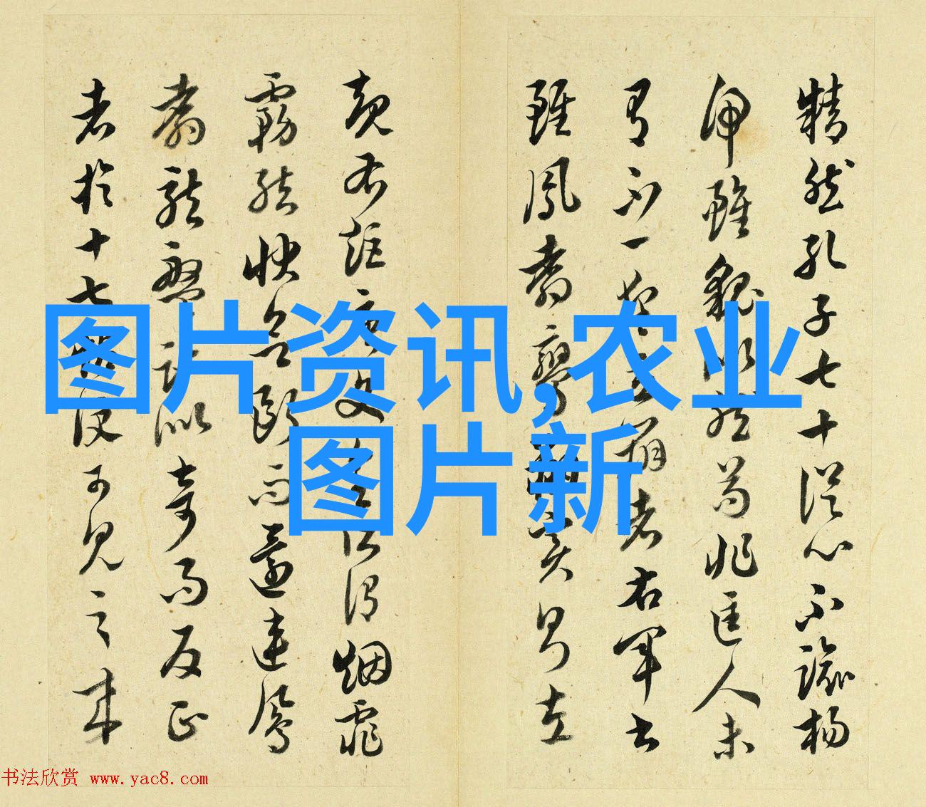 莱芜市树国槐成山东省的翠绿使者