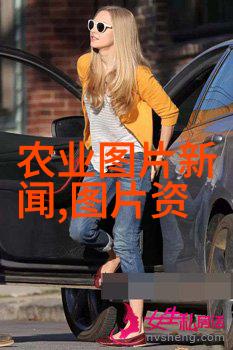 玉米秸秆收割机我是怎么遇到它的