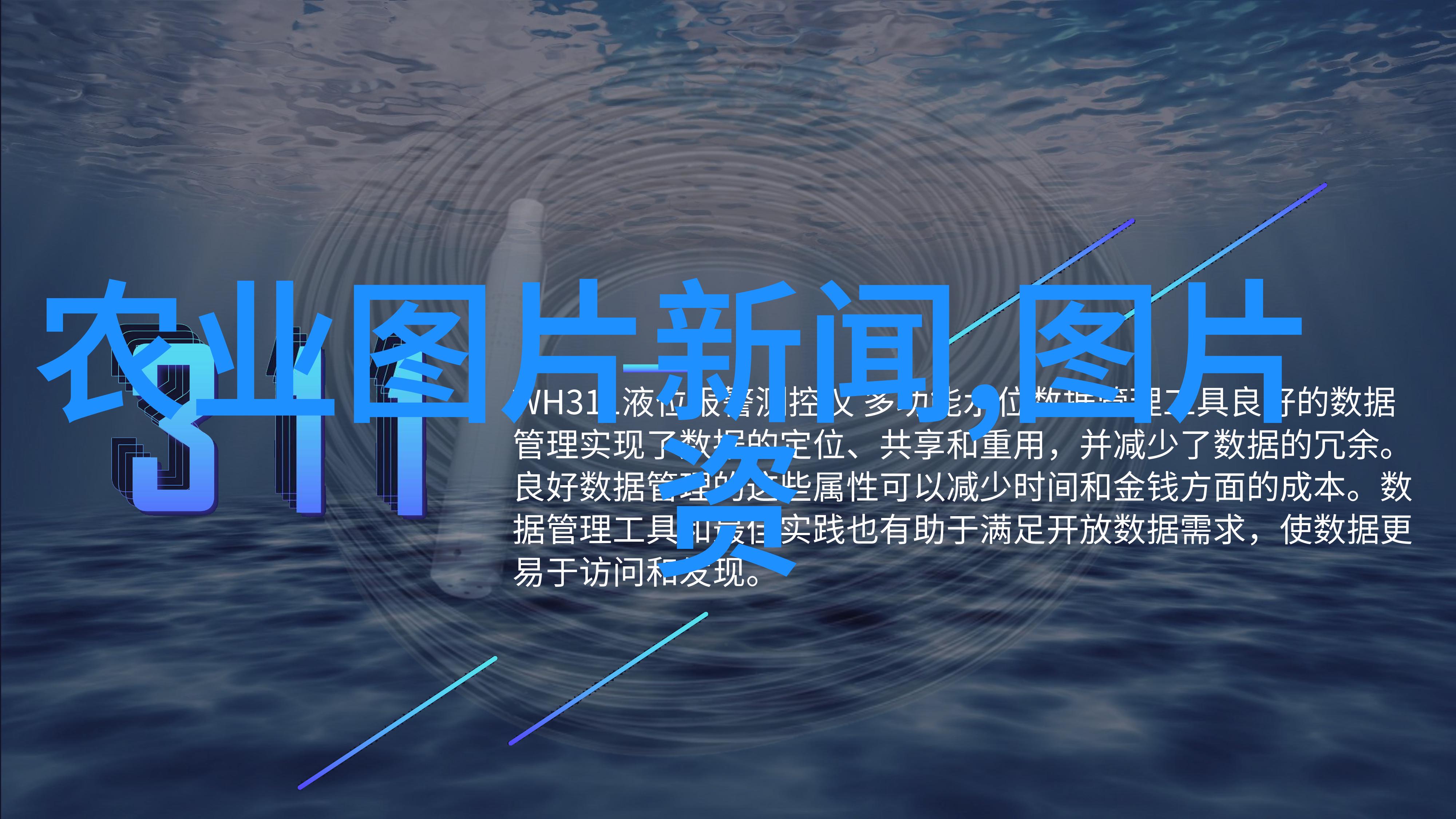 绿意盎然文竹的精心培育