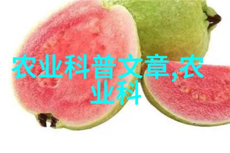 18岁女rapperdisssubs速免费的我是街头最火的新锐MC无畏嘲讽与舞台上的自由