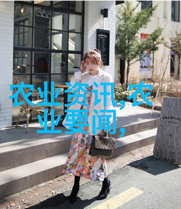 室内蔬菜种植精选易养品种