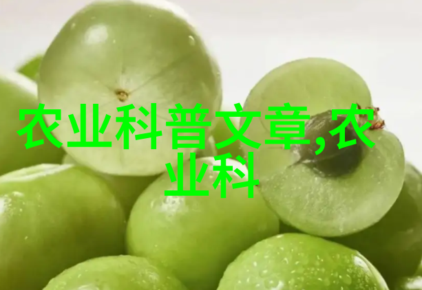 2花卉种植的步骤是从选择适宜品种到精心呵护
