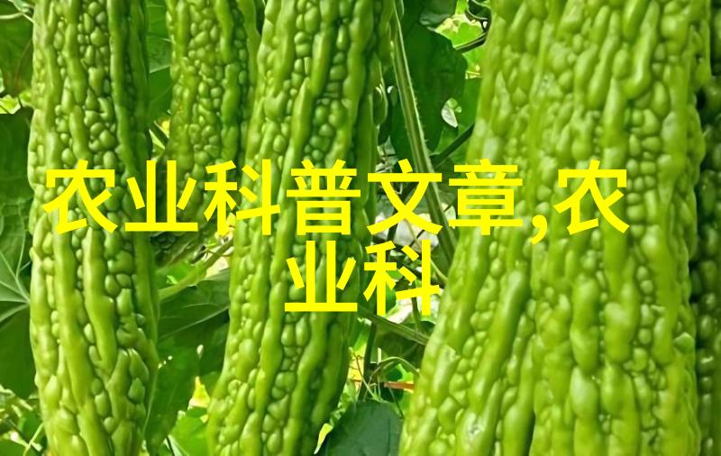 向示范户传授秋季种植技巧及农机操作知识