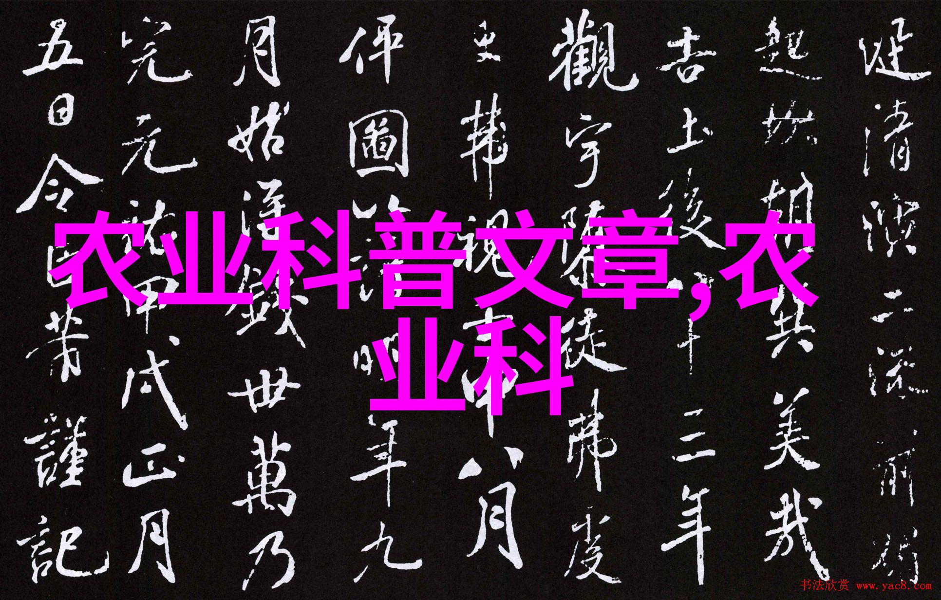 哪些苗木是室内装饰的理想选择