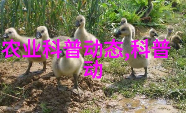 农村山上中草药大全图片探秘绿茵间的药用宝藏