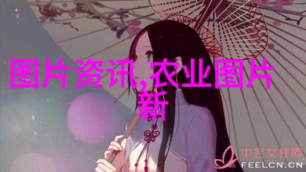品味莲雾水果和种子图片大全引领的基础管理秘籍