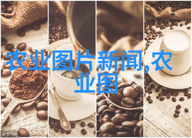蔬菜丰收一年一番辛劳的回报
