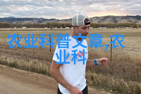农机作业包括什么-机械化耕种收获全面解析现代农业的农机作业流程