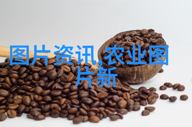 农村种植什么花卉最赚钱-丰收之花揭秘农村高收益的最佳花卉选择