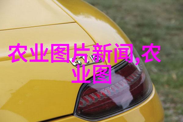 经济日报中国食物与营养发展纲要20252030年学习贯彻落实座谈会在京举行