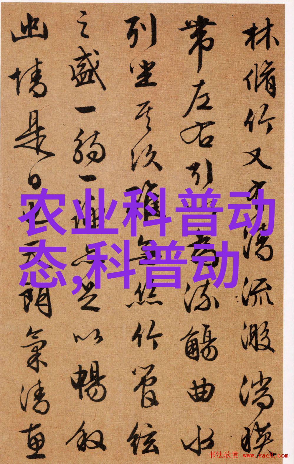 精准扶贫项目中的农机配件作用及其重要性