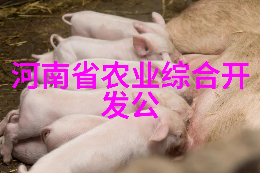 小户型也能种植美丽花园吗看懂这份详细的苗木报价单