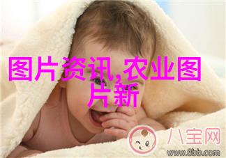 微耕机大作战从土豆到地平线的奇幻征程