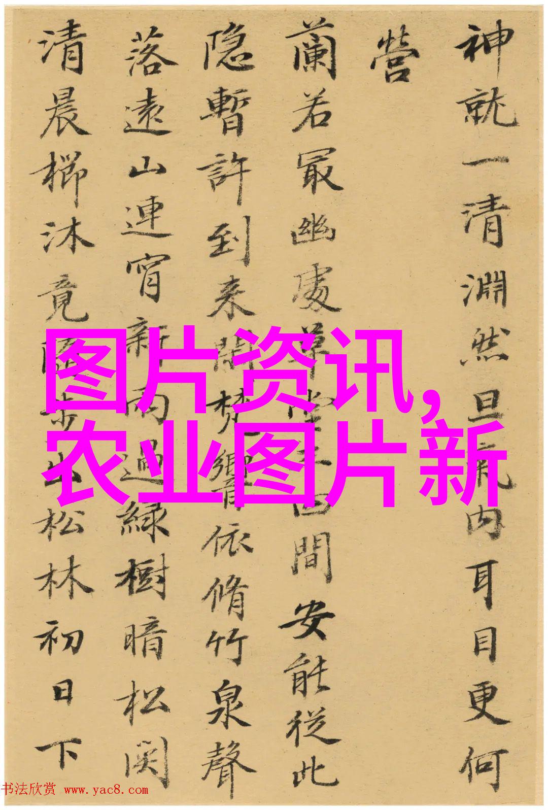 未来农业革命智慧种植的无限可能