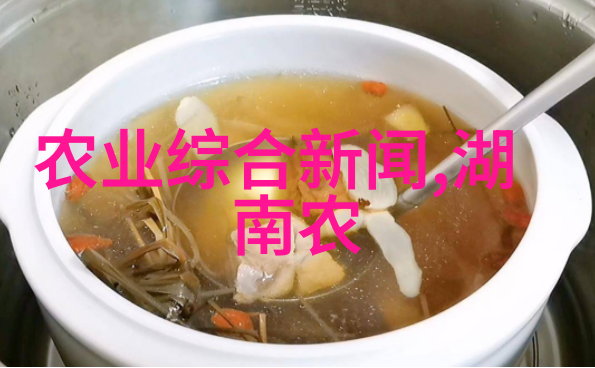 如何在室内种植蔬菜