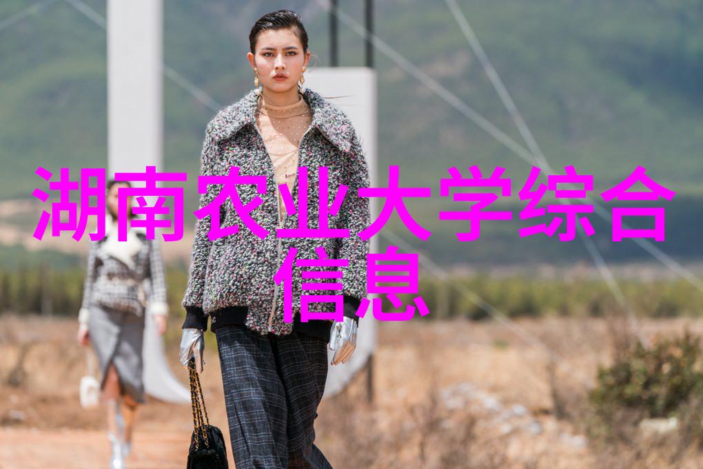 皮带输送机系统高效的物料运输解决方案