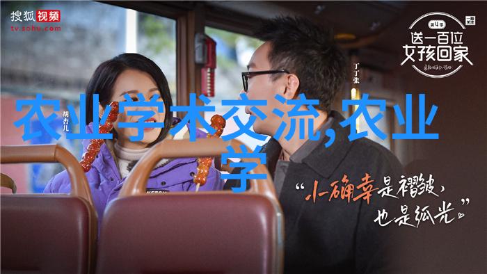 茶文化探索我来教你如何识别那些美丽的茶叶形状图片及它们的名字