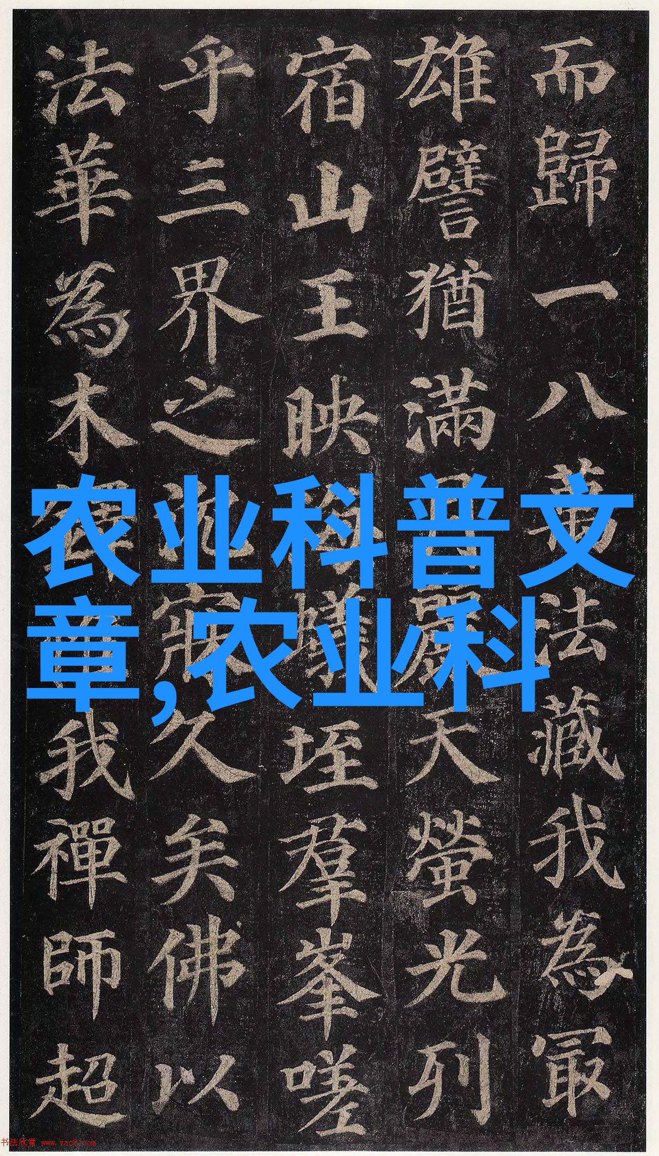 末世法师逆境中的力量与智慧