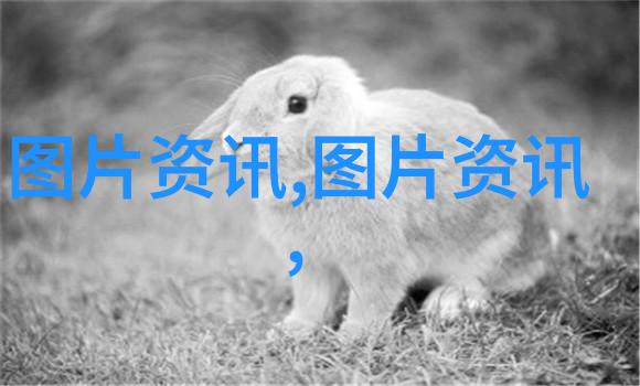 鱼鱼桌面官网创意设计的个性化电脑背景