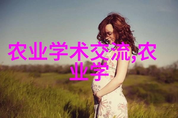 山东寿光无土栽培蔬菜技术解锁山药种植的四大秘诀