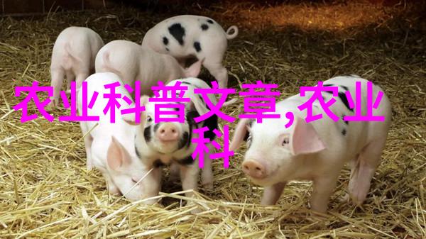雷沃重工获2017年中国品牌年度大奖