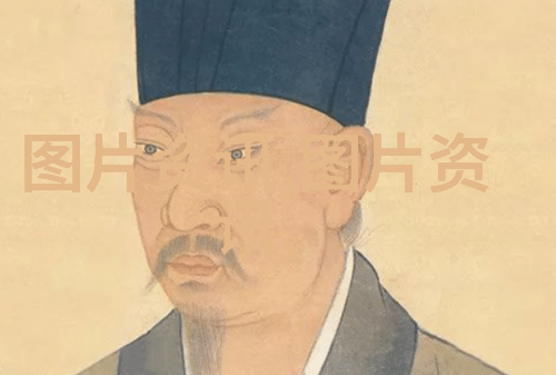 莲香绽放金线莲种植艺术的精髓