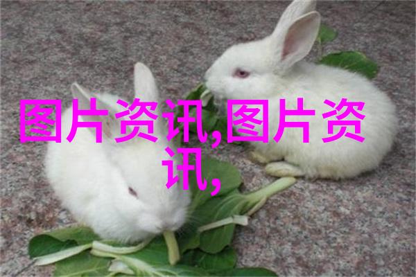 种子进货渠道的选择与管理