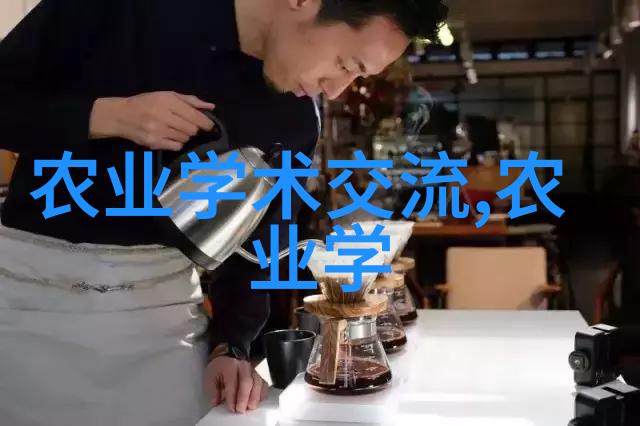 苹果籽苹果果实的种子