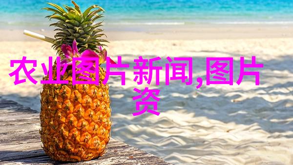 苗木网的种类与特点