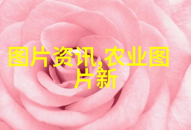 野草医生农村里的药草大师