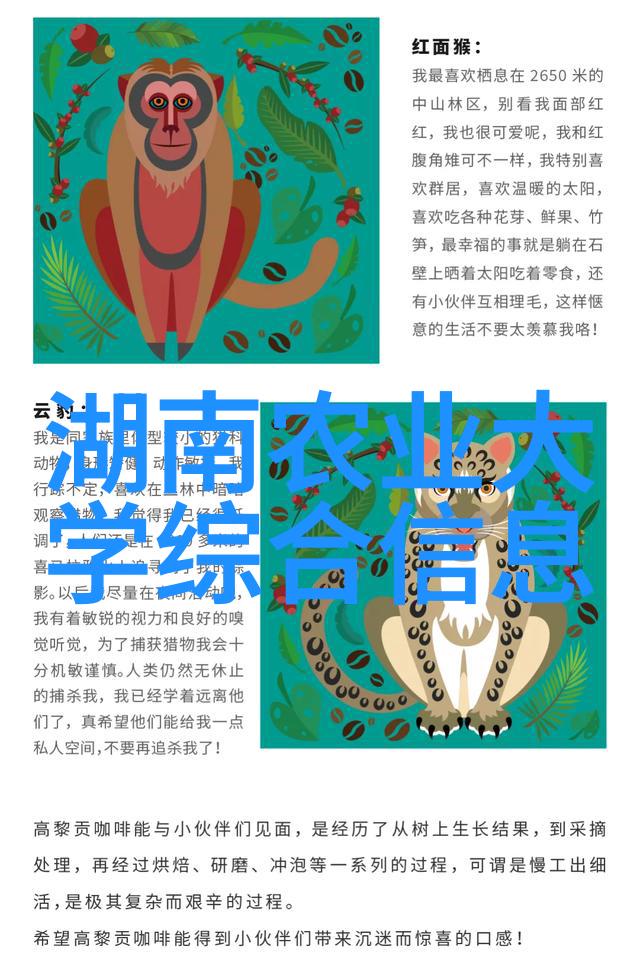 铁丝穿云中国履带旋耕机的钢甲腾飞