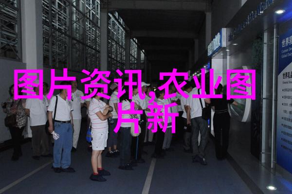 室内绿意盎然十大美丽植物盆景推荐