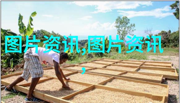 跨越季节的财富源泉适合不同季节的优质作物推荐