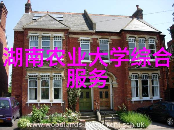 双重适应的田野之星水旱两用耕田机的革命性作用