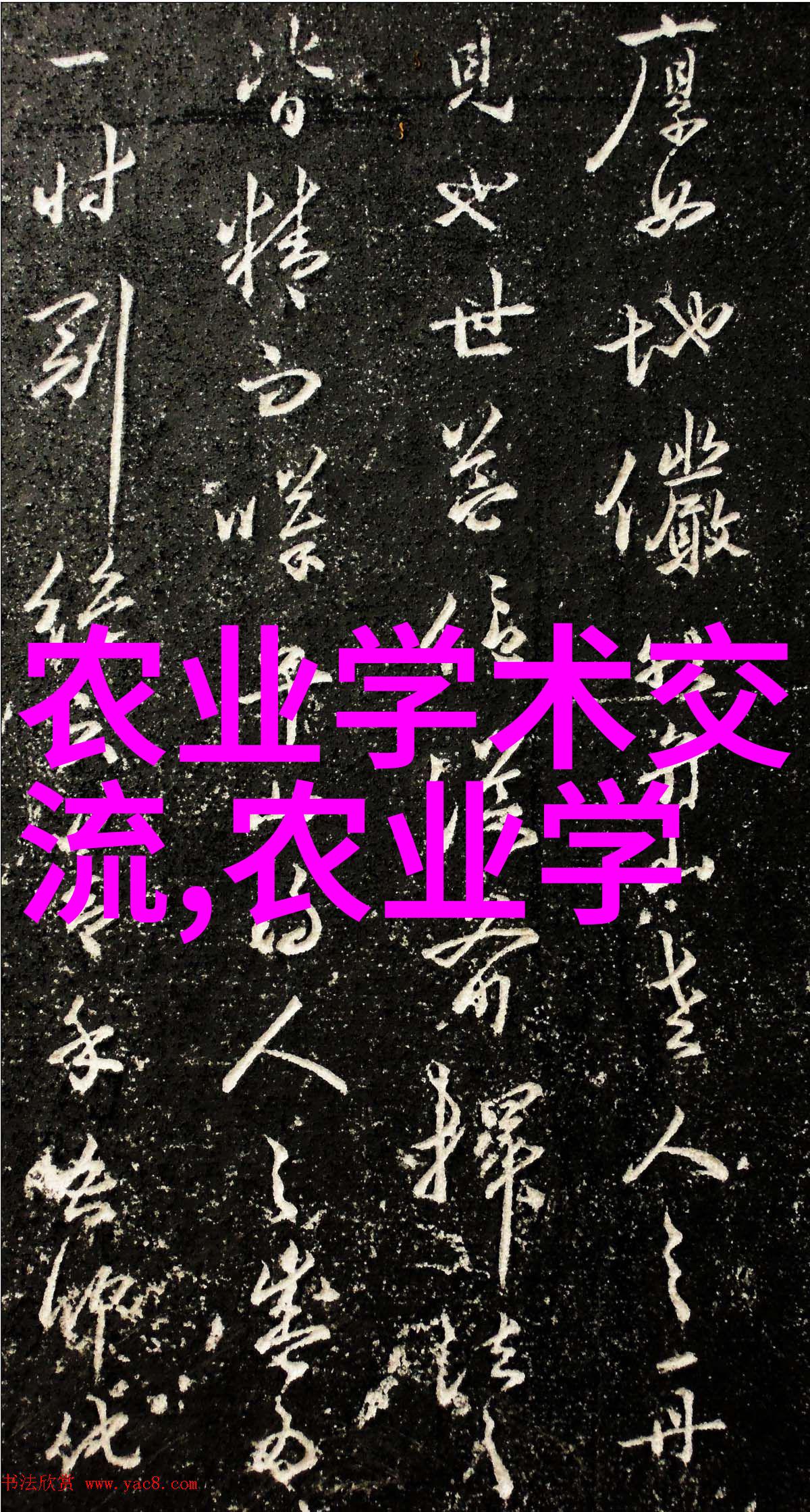 花开前夕一场未知的种植之谜