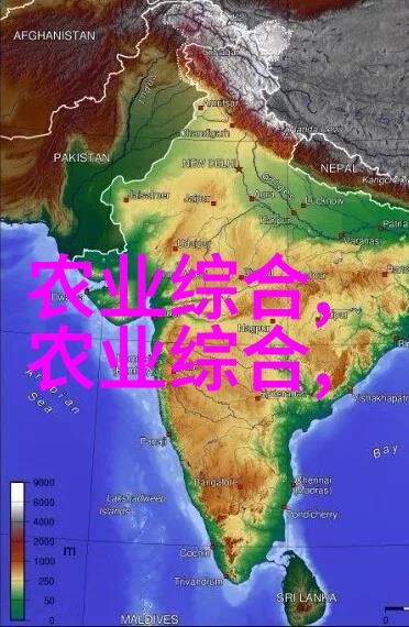 茶艺师手工编织的精致龙爪形茶叶传统中国茶具中的龙爪形